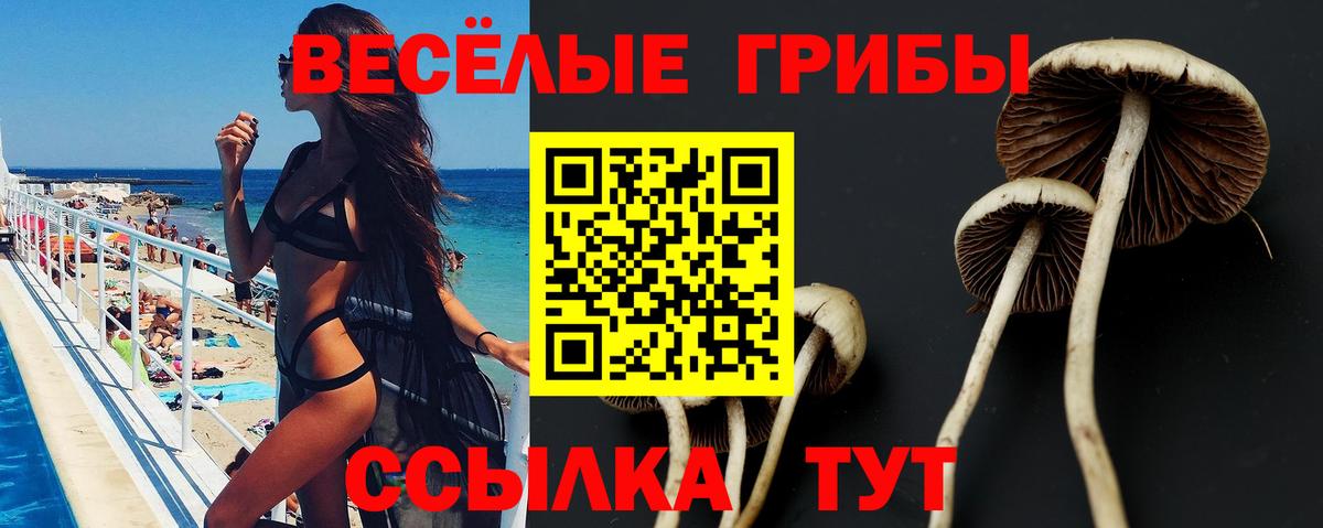 Псилоцибиновые грибы Magic Shrooms  Вход с VPN  Жигулёвск  Галлюциногенные грибы Psilocybe 