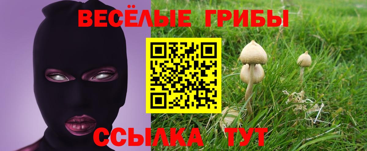 Псилоцибиновые грибы Psilocybe Жигулёвск